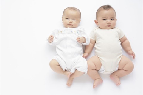 多美滋升级换新装有哪些系列，价格分别是多少